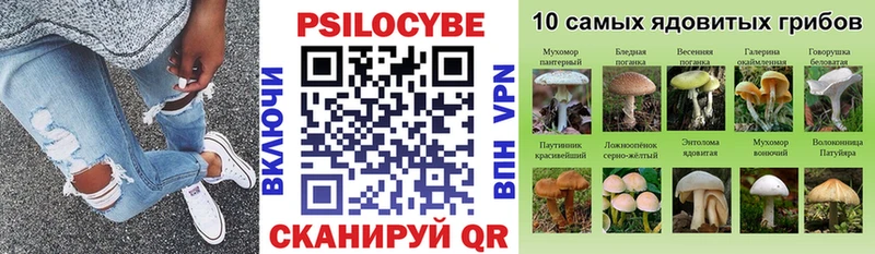 где найти   Татарск  гидра зеркало  Псилоцибиновые грибы Magic Shrooms 